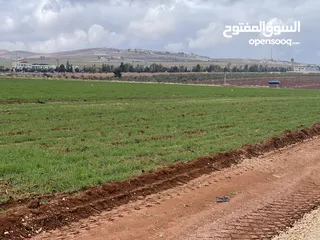  11 للبيع ارض اربد الحصن قرب جسر النعيمة وخلف معارض شهوان وطريق عمان الدولي قوشان مستقل حوض البطام