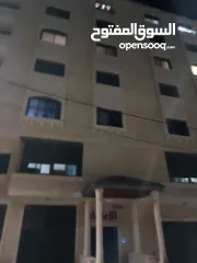  2 ابو زين  ابراهيم
