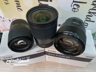  12 عدسات سوني و سيجما Sony Lens 85mm F1.8, Sigma 16mm & 30mm F1.4