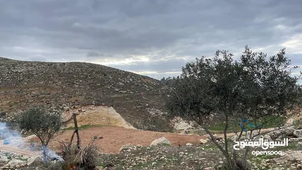  6 ارض بسعر مغري