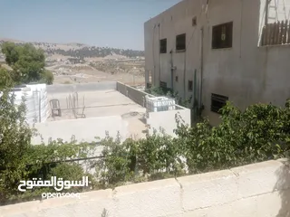  19 منزل مستقل جرش اسكان عجرمه  3غرف نوم 2حمام  صاله مع مطبخ امريكي  بلكونه  حديقه مساحه الارض 305