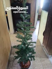  3 شجرة اصطناعية بحاله ممتازه