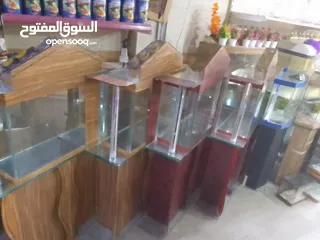  3 احواض سمك منوعة