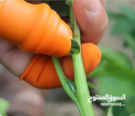  6 أداة التقليم الذكية على شكل إصبع