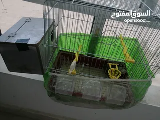  2 جوز فشر اوب لاين الوان بجنن مع قفص وكوخ