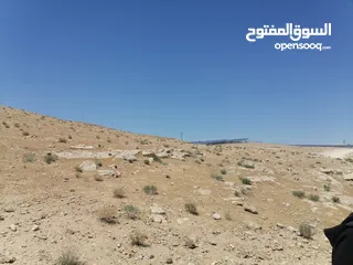  6 ارض للبيع طريق 100 بسعر مغري جداً