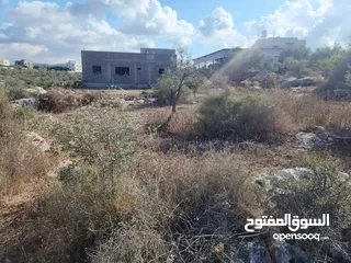  3 حصة بمنطقة الحرايق