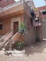  3 منزل للبيع في كفر مسعود بجوار  طنطا