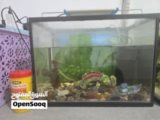  3 2 fish tank for sale  2احواظ سمك للبيع