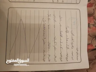  2 بسم الله ماشاءالله  فرس للبيع