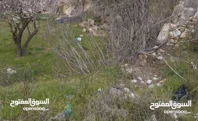  4 ارض للبيع من المالك مباشرة اول شعب الملح دير بحة