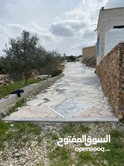  6 بيت ريفي مع مزرعة