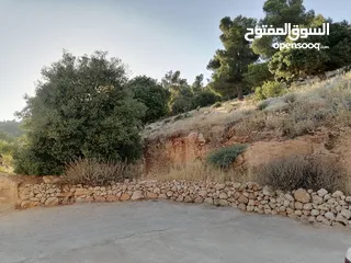  22 بيت ريفي للبيع في جرش - ثغرة عصفور