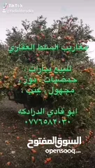  16 دنم و 44 م مقابل مضافة الدرادكة دنم ب القمة عالي
