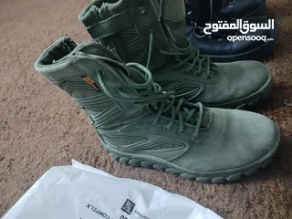  7 موجودات اربد حكما  كلهم وكاله