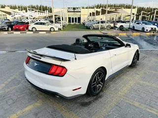  5 FORD MUSTANG ECOBOOST CONVERTIBLE