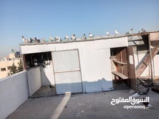 1 خشه حمام للبع