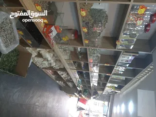  11 محمص للبيع بكامل عدته وديكوره وبضاعته البيع بداعي السفر المحمص يعمل بشكل جيد وقابل للتطوير والتوسيعو