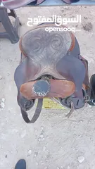  1 مطلوب خيل للبيع