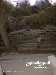  1 تشكيلة حطب للبيع