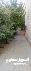  8 بيت للبيع صالحية العابد