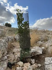  4 قطعة أرض للبيع في ديرقديس