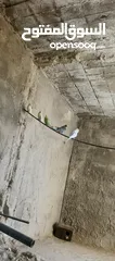  3 طيور حب 4 جواز
