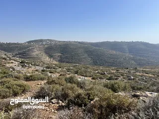  3 ارض مميزة للبيع في تلال عبوين وسنجل (تلال غرابة)