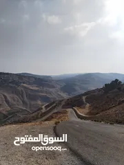  5 3500 متر مطلة على سد الملك طلال موجود اكثر من قطعة