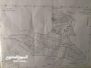  3 ارض واد رحال