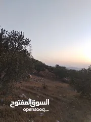  14 10 دنمات بأجمل اطلالة خلابة على سد الملك طلال