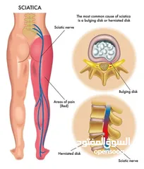  6 مدرب لياقه بدنيه وبناء أجسام ومدرب سباحه