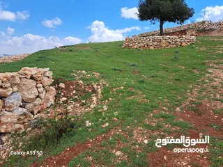  5 قطعة في منطقة سوف ذات اطلاله رائعه