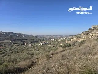  1 ارض للبيع اجنسنيا