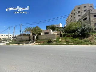 12 منزل مستقل للبيع ارض /حجه/ مش قوشان  بسعر حرق طبربور ضاحيه الصفا