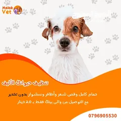  3 خدمات بيطرية متكاملة للحيوانات الاليفة