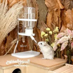  10 Hamster wheel and water bottle