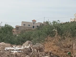  3 منزل مستقل