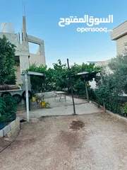  8 ابونعيم عمر