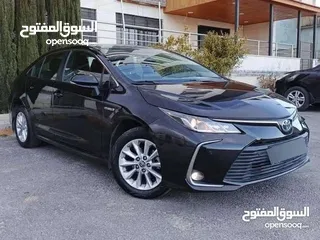  6 تويوتا كورولا 2019 للبيع