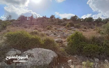  1 ارض للبيع في عنبتا الجبل الجنوبي .تصنيف أ واصلها جميع الخدمات اطلاله مميزه