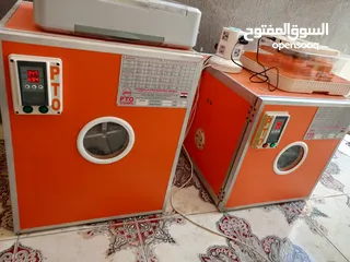  1 فقصات بحال الوكالة للبيع بيتو 2  وفقصتين  EGG 2