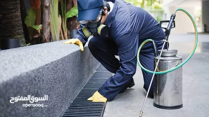  25 رش حشرات للمنازل والمحلات مع ضمان النتيجة وسرعة الاستجابة وكفالة