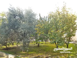 1 بيت للبيع في الحصن "قوشان مستقل" على مساحة ارض 908 م2 قرب شارع اربد عمان الرئيسي وصيدلية الشتاء