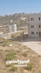  1 مطلوب مدربة دبكة وفلكلور شعبي في رام الله