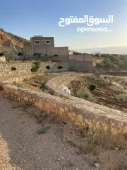  12 مزرعة في مغاريب السلط من المالك مباشرة