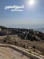  30 مزرعة في مغاريب السلط من المالك مباشرة
