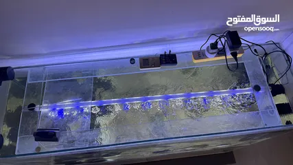  4 151x45cm fish tank