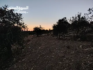  11 ارض للبيع مساحة4300م وعلى الواقع 12دونم تصلح بيت ريفي شاليه ارض زراعيه ويوجد فيها بيت قيد الانشاء