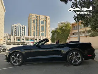  5 فورد موستنج ستة سلندر 2017 كشف Ford Mustang V6 Convertible